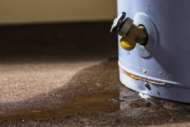 Best Commercial water damage restoration  in Downs, IL