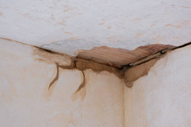 Best Emergency water damage restoration  in Downs, IL