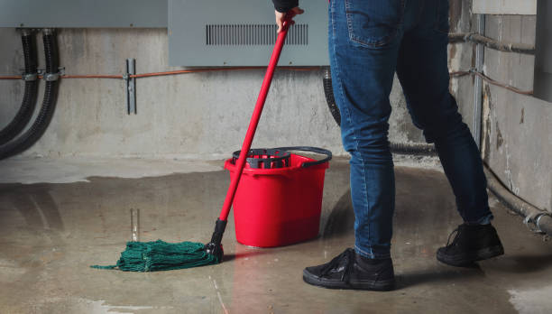  Downs, IL Water damage restoration Pros